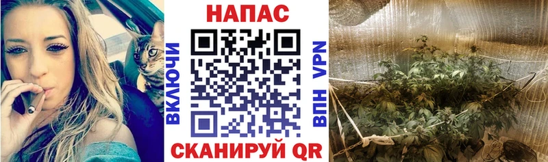 Шишки марихуана MAZAR  где купить   Крым 